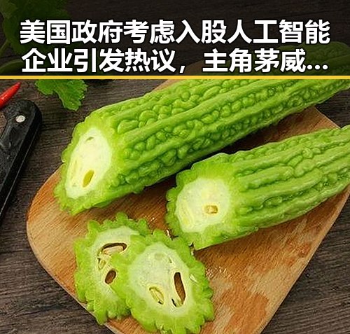 美国政府考虑入股人工智能企业引发热议,主角茅威涛、闫妮如何看待大结局