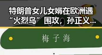 特朗普女儿女婿在欧洲遇“火烈鸟”围攻，孙正义只当了3天亚洲首富的反差故事